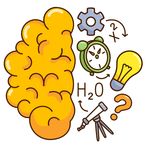 Brain Check: IQ Logic Puzzle