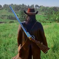 Wild Gunfighter Cowboy game