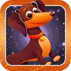 Peaceful Dog Escape