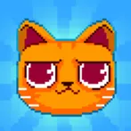 Crashy Cats