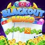 Bingo Blackout Cash Casino