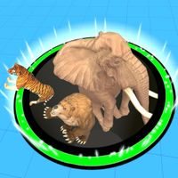 Animal Hole