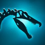 Jurassic City.io