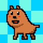 I became a Dog