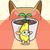 Cat Studio