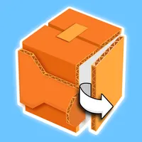 Box Puzzles