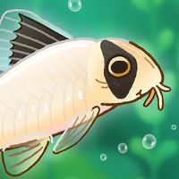 Pondlife — Fish, Frogs & More!