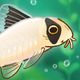 Pondlife — Fish, Frogs & More!