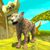 Animal Wildlife