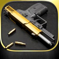 iGun Pro -The Original Gun App