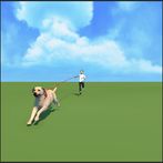 Dog Walking Master