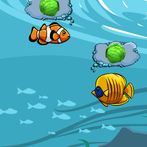Feed Aqua Fish