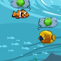 Feed Aqua Fish