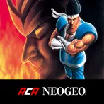 WORLD HEROES PERFECT