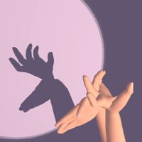 Shadow Perception