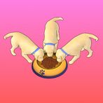 Idle Pet Feeder