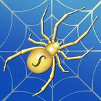Spider Solitaire - Large Cards