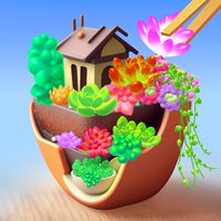 DIY Succulents