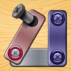 Nuts And Bolts: Screw Puzzle