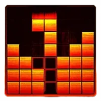 Wood Block Puzzle: 3 Versions