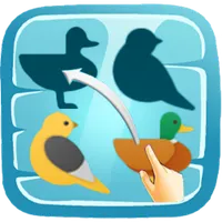Shadow Matching Puzzles