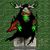 SB Games Project