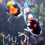 My Koi