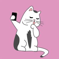 Cat Snaps - Make Cat Selfies