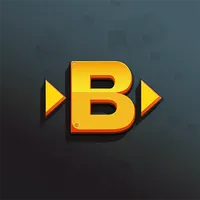 Project Beltworks