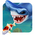 Ocean Predator