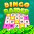 BingoStudioKitty