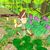BgNatureTrip