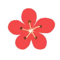 Korean Flower Name Game