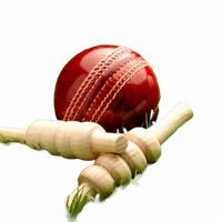 Cricket Slots