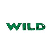 Wild Casino Mobile  Spinner