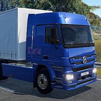 Indian Truck Driver