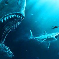 Monster Sharks : Shark Games