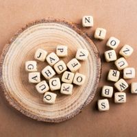 Word Search Puzzle