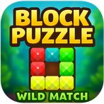 Block Puzzle Wild Match