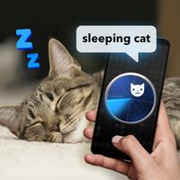 What Do Cats: Joke Radar