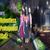 Triority Interactive Novels
