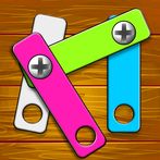 Wooden Nuts Bolts Puzzle Game