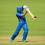 World Champions Cricket Games
