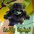 m7mmad