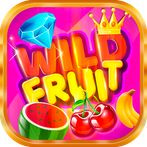 Christmas Fruit Festival Slots