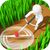 dev 0273 6177117