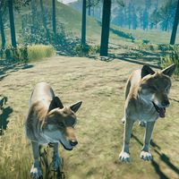 Forest Hunting