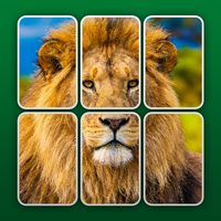 PuzzleCards: Jigsaw Solitaire