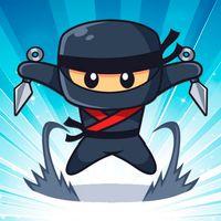 Flying Ninja
