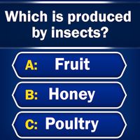 Trivia - Quiz Games